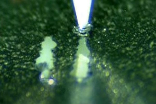 Scratch-coating test